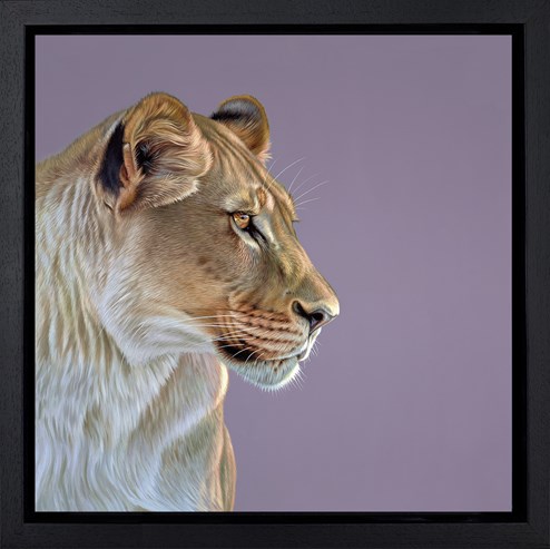 Queen of the Savannah by Darryn Eggleton - Framed Limited Edition on Canvas